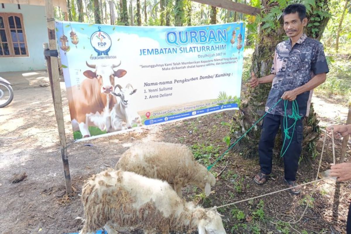 FDP Salurkan 54 Hewan Kurban ke Perbatasan Aceh-Sumut, Sebaran Dai hingga ke Pedalaman Karo