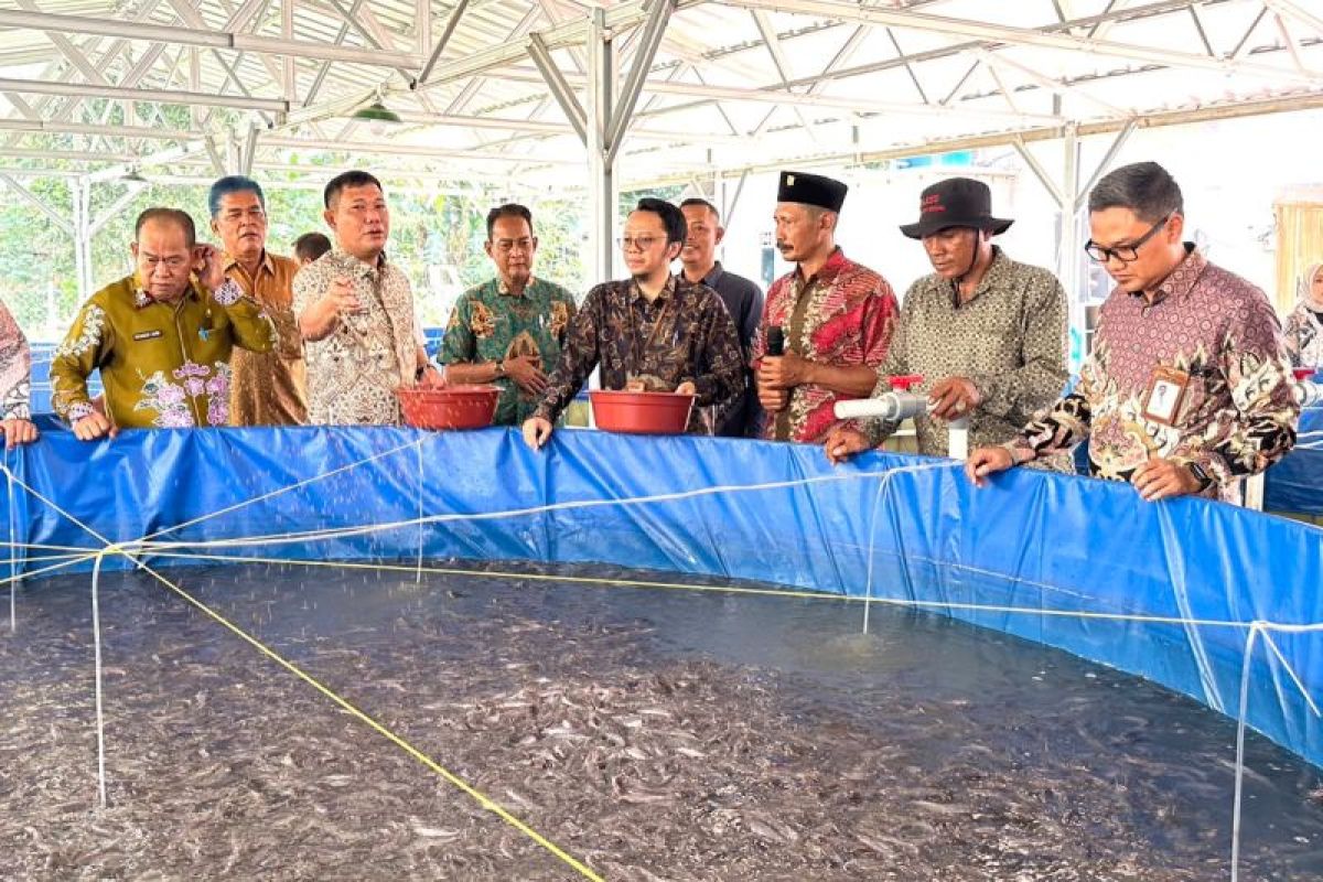 PLN Peduli Serahkan 10 Kolam Bioflok dan Ribuan Benih Lele ke Pokdakan di Tulang Bawang Barat