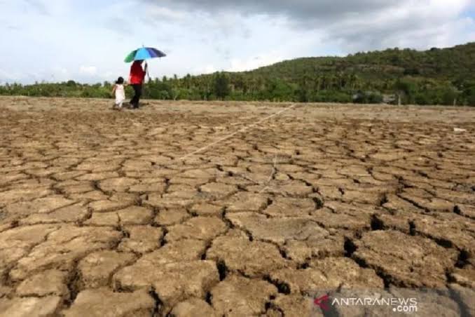 7 Daerah di NTB Masuk Status Awas Kekeringan Meteorologis, Dua Pos Hujan di Bima 74 Hari Tak Turun Hujan