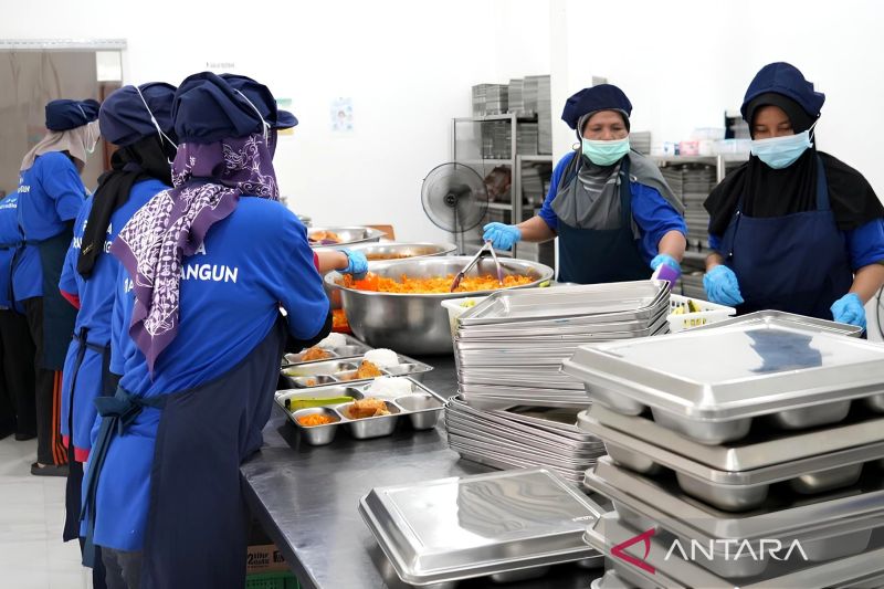 Percepatan Pembangunan Dapur MBG di Papua Jadi Prioritas, BGN Siapkan Peta Distribusi hingga Daerah Rawan Konflik
