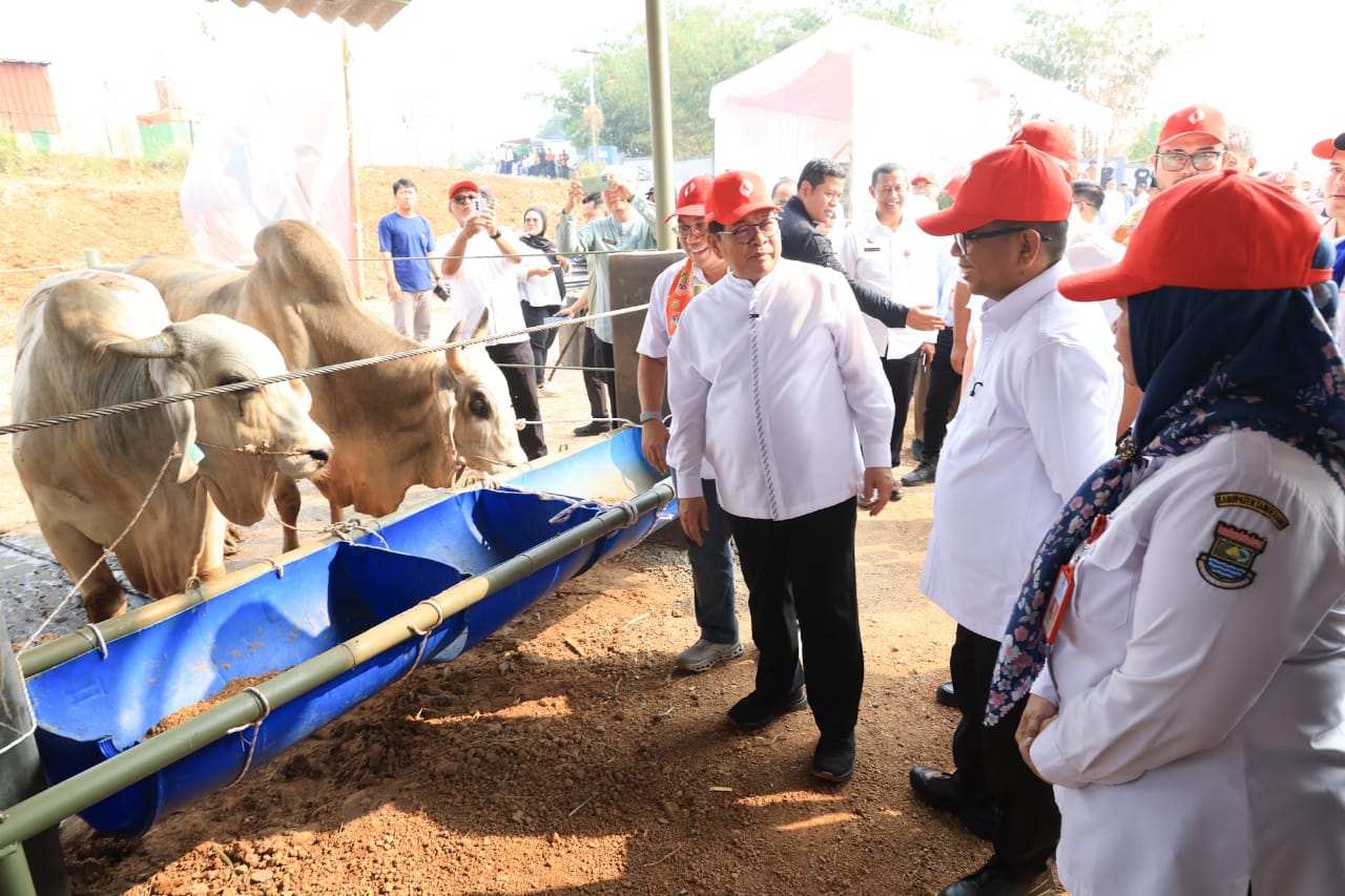 Gubernur Banten Andra Soni dan Pramono Anung Kolaborasi Optimalkan Lahan 100 Hektare di Tangerang untuk Ketahanan Pangan