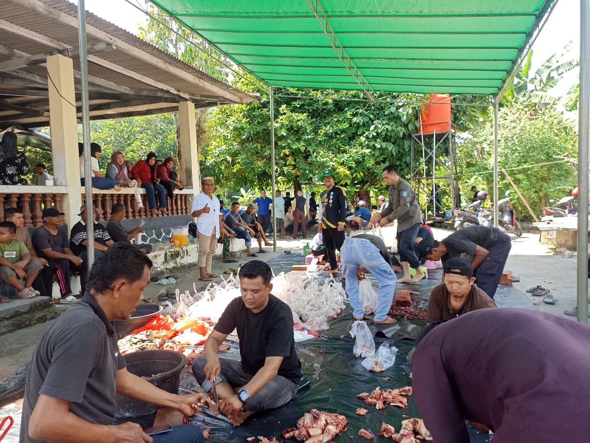 IKM Bangka Sembelih 4 Ekor Sapi Kurban di Sungailiat, Warga dan Janda Dapat Gulai Daging Cincang Khas Minang
