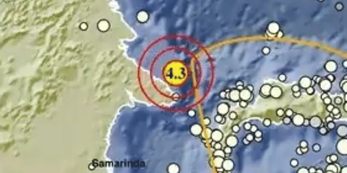 Gempa M 4,3 Guncang Perairan Tenggara Berau, Pusatnya di Laut Kedalaman 7 Km
