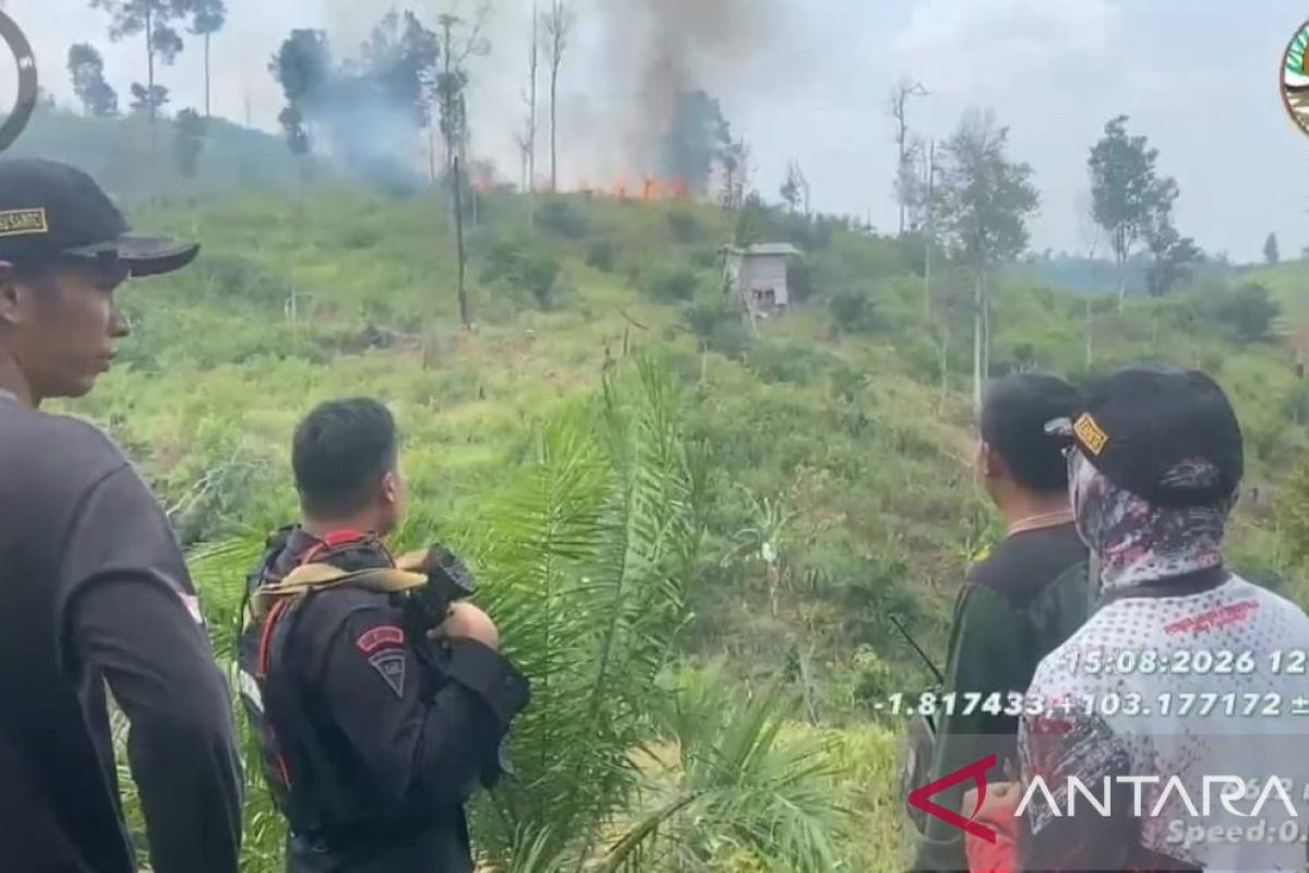 Satgas Karhutla Jambi Padamkan Api yang Hanguskan 30 Hektare Lahan di Tahura Batang Hari