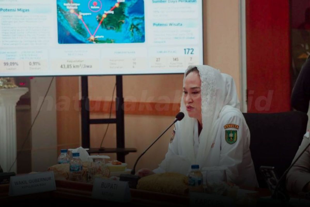 Pemkab Natuna Prioritaskan Perbaikan Jembatan Subi 2027, Akses Satu-satunya Warga Antar Pulau
