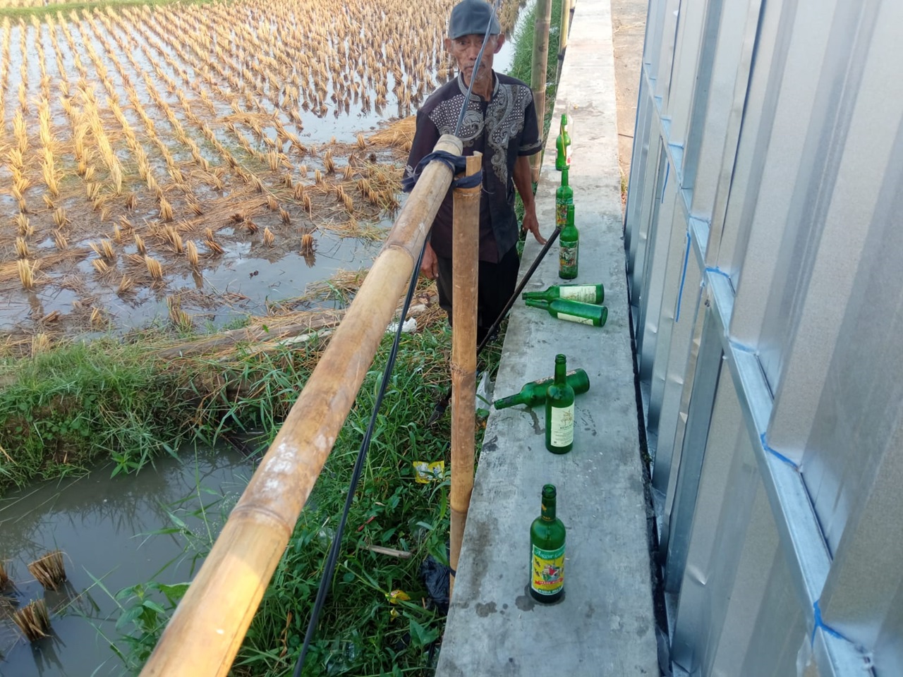 Petani di Tasikmalaya Keluhkan Sawah Dipenuhi Botol Miras, Sehari Kumpulkan 500 Botol Kosong dan Pecah