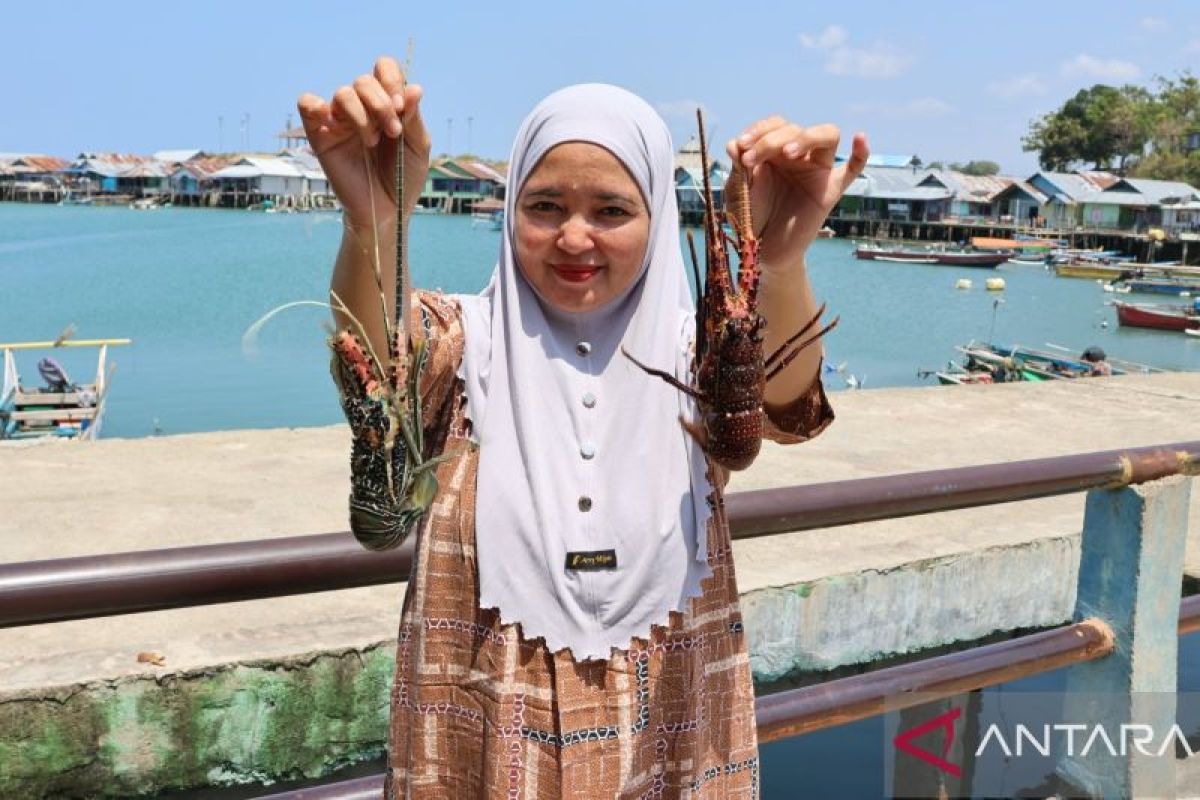 Pengepul Lobster di Boalemo Kembangkan Kedai Kuliner, Harga Sajian Siap Masak Capai Rp 2 Juta
