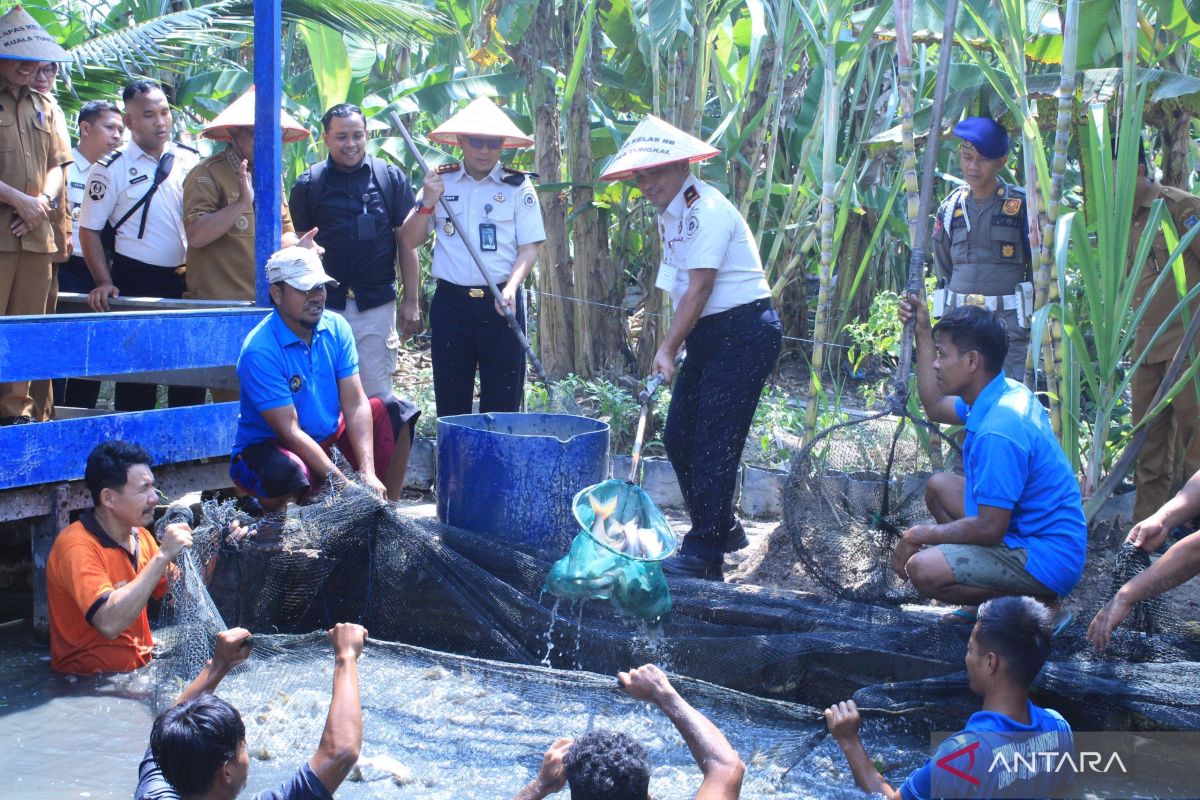 Lapas Kuala Tungkal Panen 200 Kg Ikan Patin dan Sayuran, Bukti Pembinaan Warga Binaan Hasilkan Produk Pangan