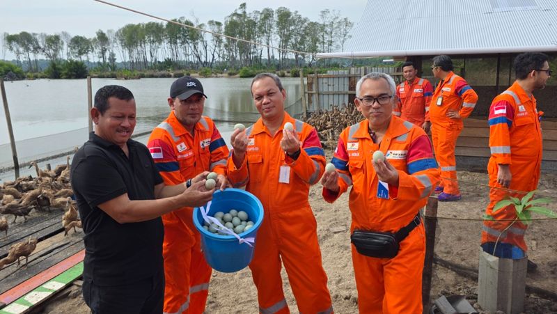 Limbah Organik Kafetaria PHM di Muara Pantuan Kini Jadi Pakan Bebek, Produksi Telur Capai 100 Butir Per Hari
