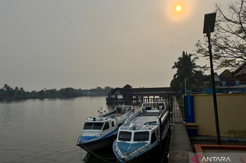 Kabut Asap Karhutla Mulai Selimuti Tanjung Selor, Pelayaran Speedboat ke Tarakan Dipastikan Tetap Normal