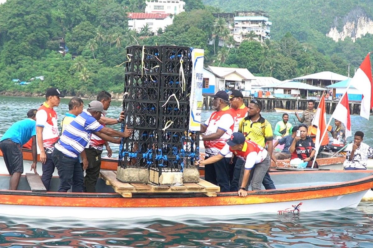 Pemkot Jayapura Perluas Penempatan 27 Rumah Ikan di Teluk Humboldt, Targetkan Pendapatan Nelayan Naik