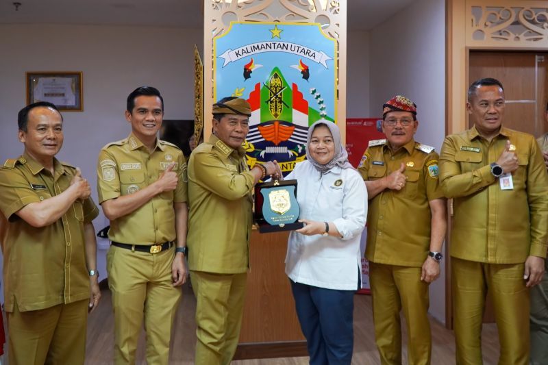 Pemprov Kaltara Percepat Proyek Karbon Biru M4CR, Tiga Kabupaten Disiapkan Jadi Lokasi Rehabilitasi Mangrove