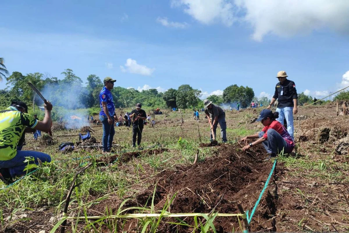 Menteri Pertanian Sebut Teknologi Pertanian di Merauke Setara Jepang, Produktivitas Naik Jadi 7 Ton Per Hektare