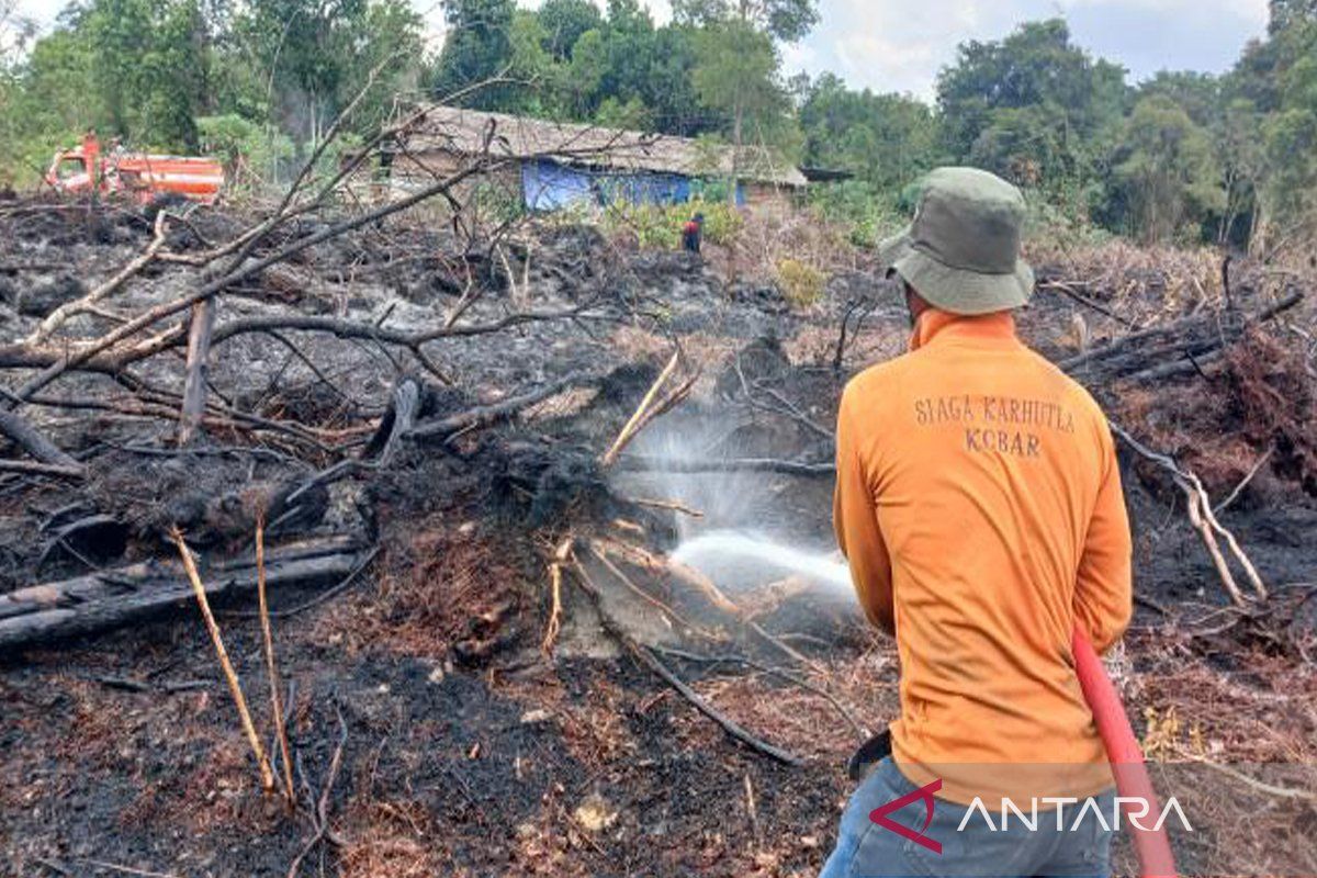 Tiga Kebakaran Hutan dan Lahan di Aceh, Jawa Barat, dan Jawa Tengah Tak Timbulkan Korban Jiwa, Satu Keluarga Terdampak di Langsa