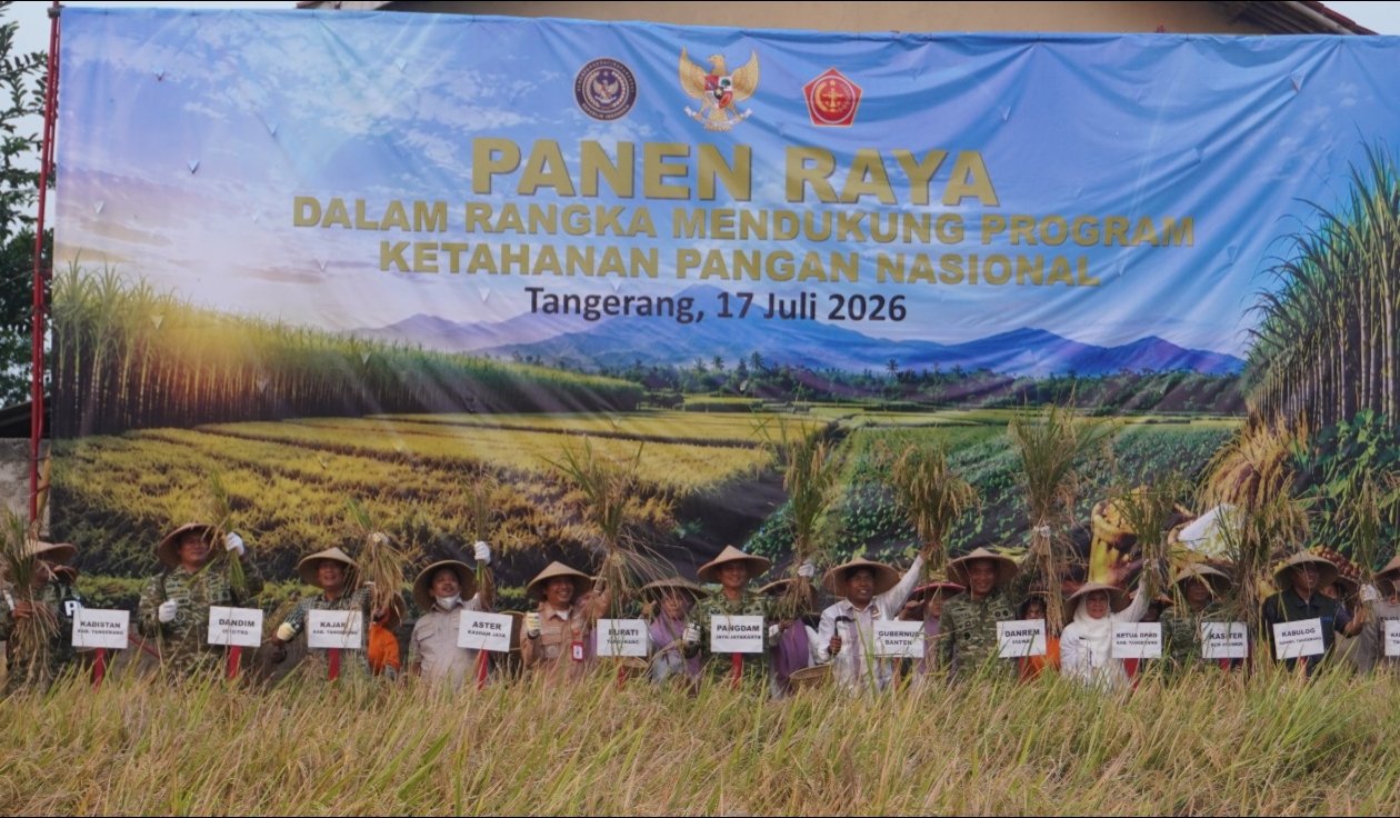 Kodim 0510/Tigaraksa Panen Raya Padi di Kresek Tangerang, Target Swasembada Pangan Nasional