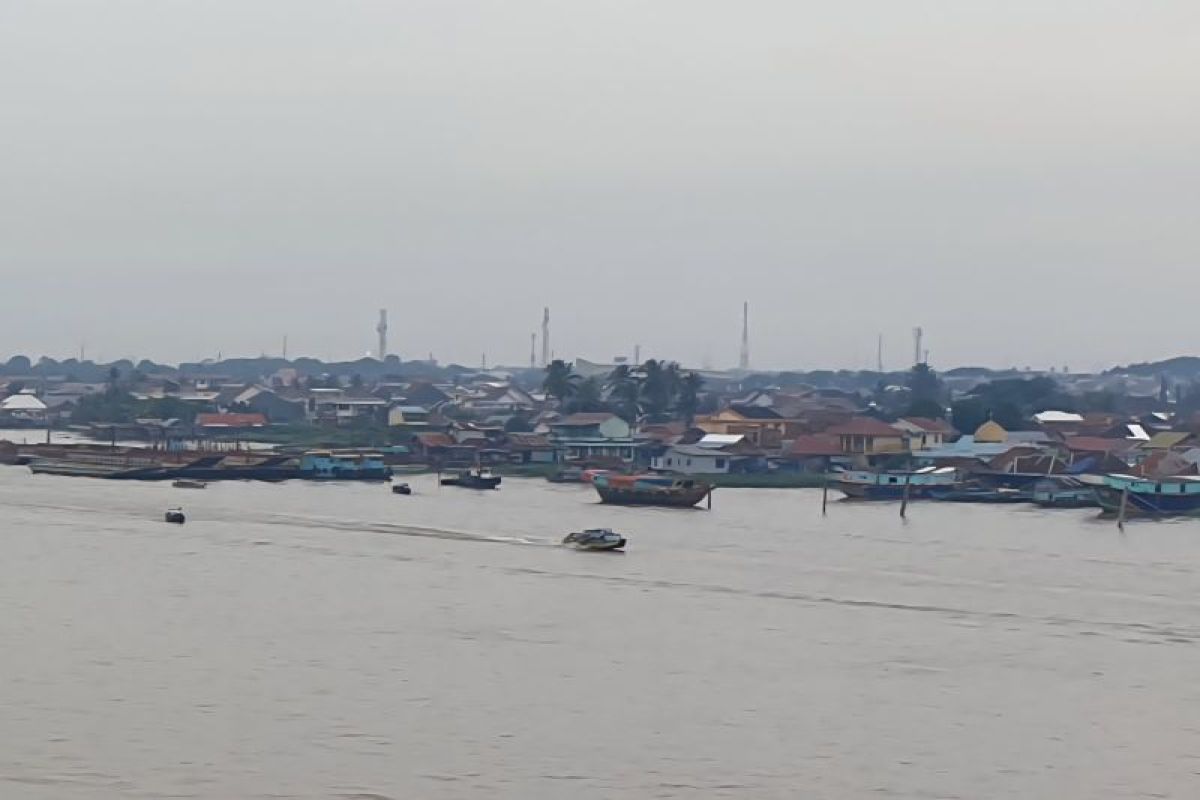 Dinas Kelautan dan Perikanan Sumsel Kembangkan Kampung Budi Daya Ikan di 8 Kabupaten dan Kota