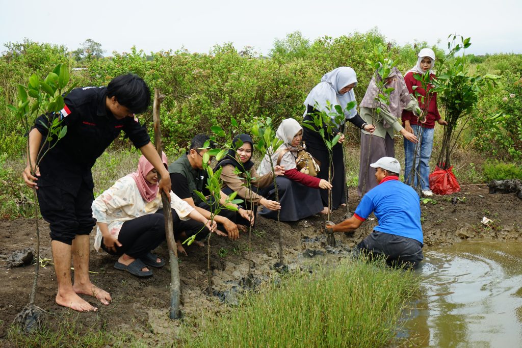 UNSERA Tanam Bibit Mangrove di Pesisir Sawah Luhur Banten, Aksi Nyata Mahasiswa Lawan Perubahan Iklim