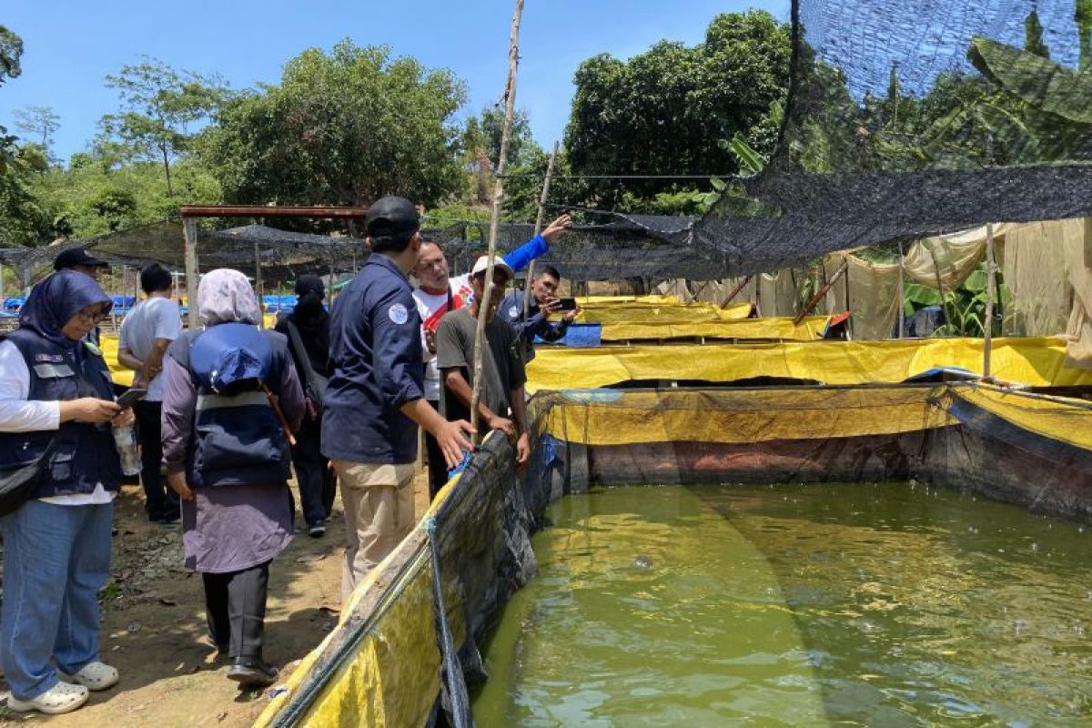 Produksi Ikan Air Tawar Batam Capai 2.841 Ton per Mei 2026, Pemkot Sebut Kini Tak Lagi Bergantung Pasokan Luar Daerah