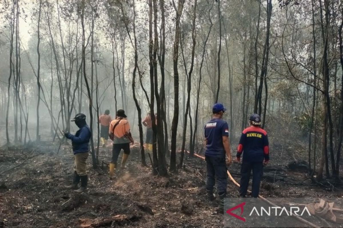 Helikopter Water Bombing Dikerahkan Padamkan Karhutla 20 Hektare di Sungai Rotan Muara Enim
