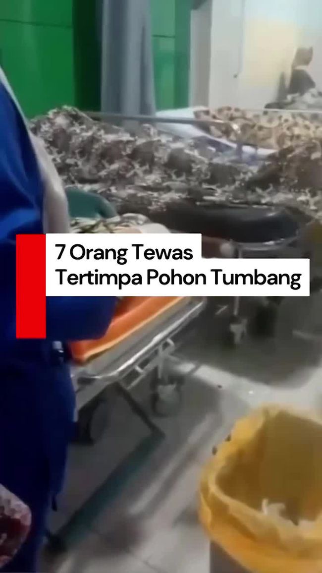 Pohon Tumbang Timpa Pikap di Jalan Banda Aceh-Medan Pidie, 7 Orang Tewas dan 5 Luka-Luka