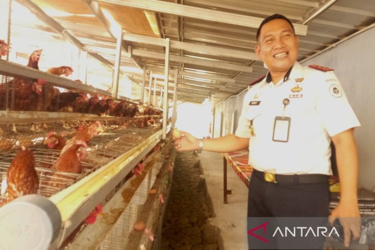 Rutan Mentok Bekali 700 Ekor Ayam Petelur dan Kampung untuk Warga Binaan, Produksi 300 Butir Telur per Hari