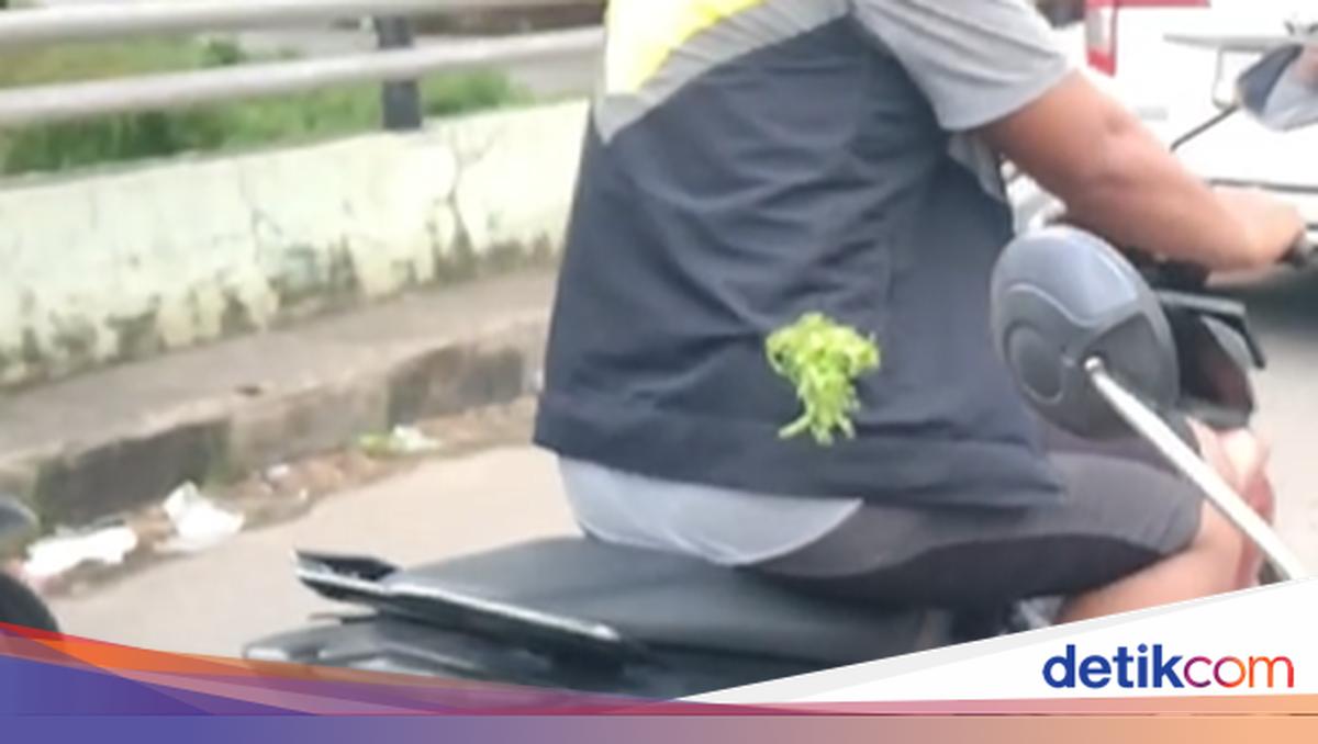 Remaja 17 Tahun di Makassar Aniaya Driver Ojol Pakai Busur gegara Ditegur, Pelaku Menyerahkan Diri