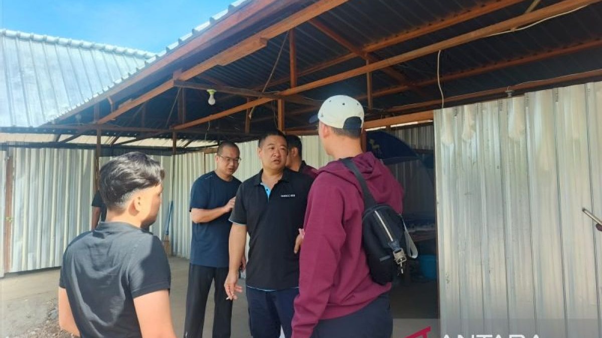 15 WN China di Tambang Emas Gunung Botak Maluku Terancam Dideportasi, Hanya Punya Izin Kunjungan