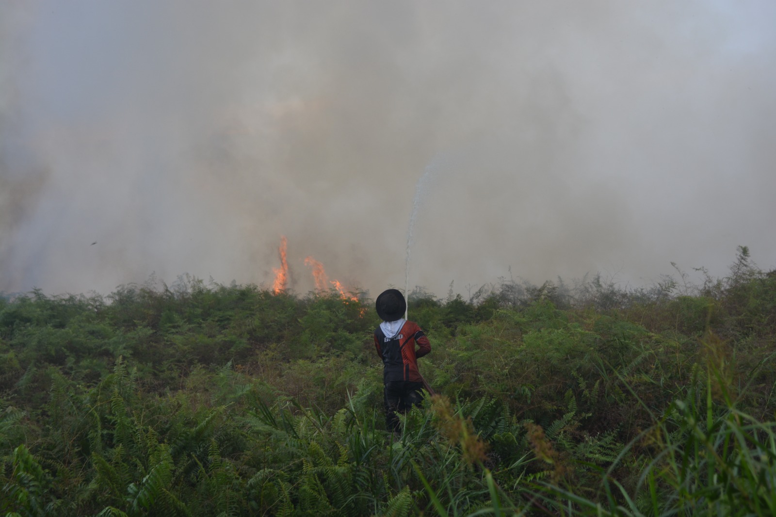 Karhutla di Aceh Barat Meluas, BPBD Catat 23,6 Hektare Lahan Terbakar dalam Sepekan Terakhir
