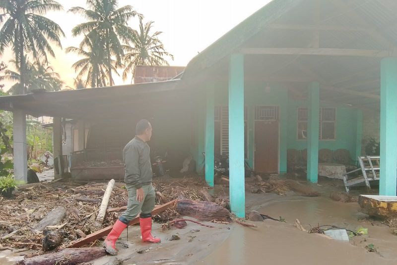 Banjir Bandang Terjang Desa Avolua Parigi Moutong, 103 Jiwa Terdampak dan Ratusan Rumah Terendam Lumpur