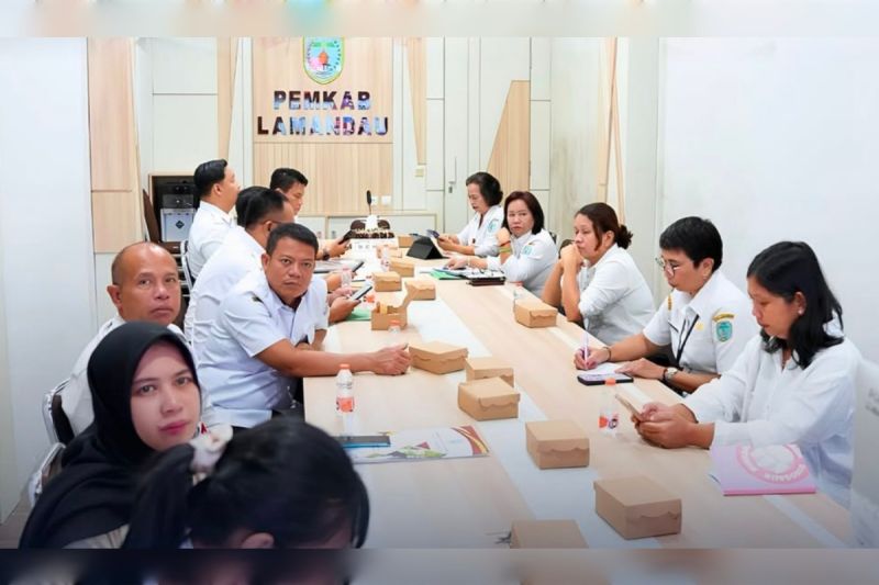 Pemkab Lamandau Ikuti Sosialisasi Permen Ekraf Nomor 9 Tahun 2025, Siap Tata Ekonomi Kreatif dari Desa
