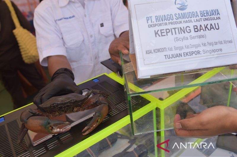 Barantin Minta Eksportir Perikanan Sulawesi Tengah Jaga Mutu, Tiga Komoditas Tembus Pasar Global