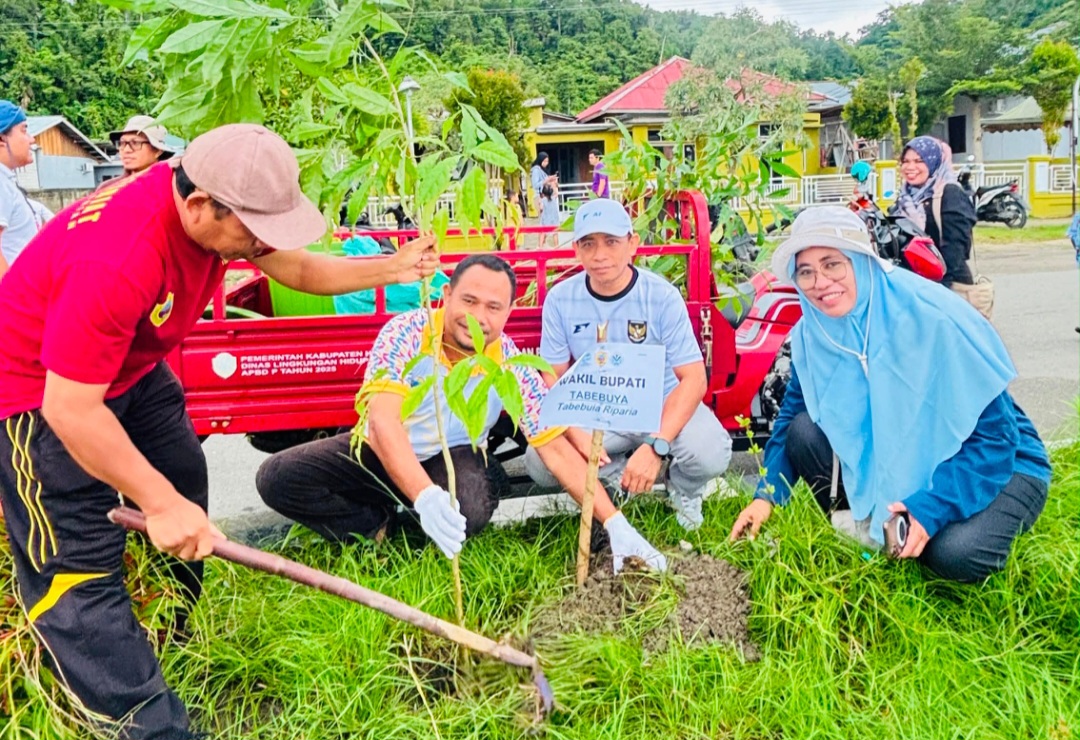 Peringati Hari Lingkungan Hidup Sedunia 2026, Pemkab Halmahera Tengah Tanam Pohon Tabebuya dan Aksi Bersih-Bersih di Kota Weda