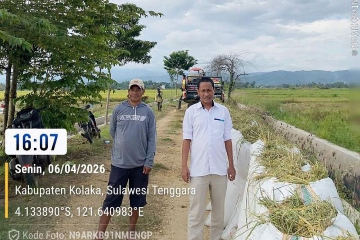 Bulog Cetak Rekor Pengadaan Beras 4,1 Juta Ton, Cabang Kolaka Serap 40.514 Ton Gabah