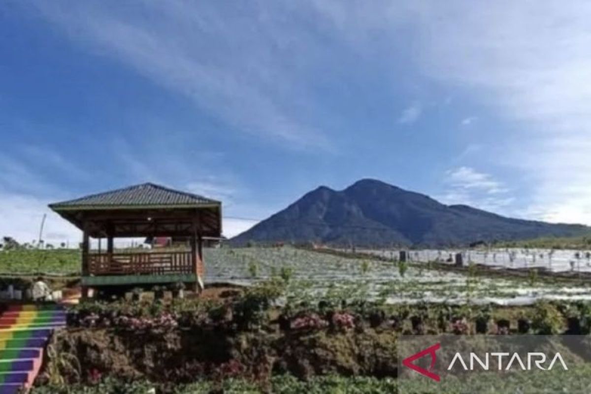 50 Pemandu Gunung Masurai Merangin Kantongi Sertifikat BNSP, Jamin Keselamatan Ribuan Pendaki