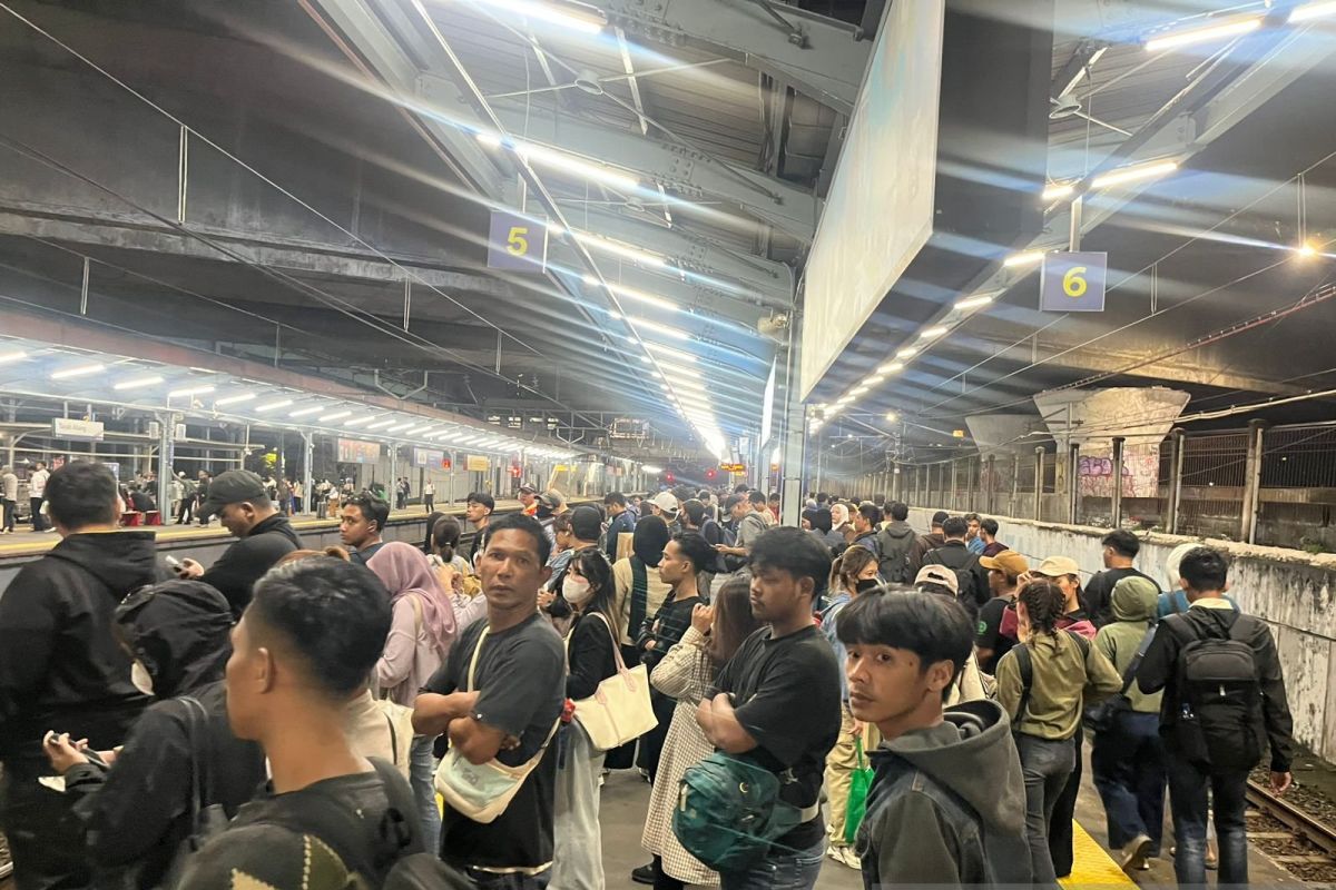 Kelas Menengah Indonesia Makin Terjepit: Jumlahnya Susut 10 Juta Jiwa dalam 5 Tahun, Daya Beli Tergerus
