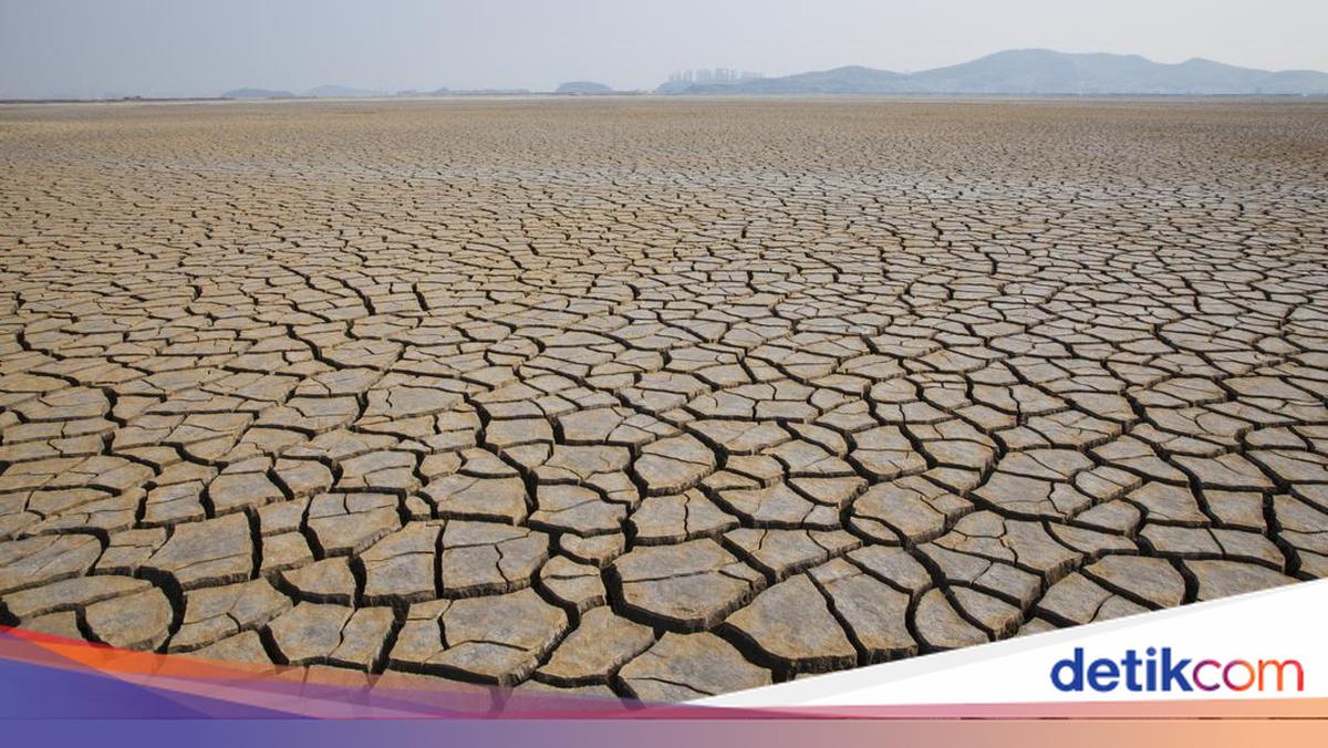 2 Wilayah di Sumsel Alami 40 Hari Tanpa Hujan, BMKG Ingatkan Sumur dan Sungai Mulai Surut
