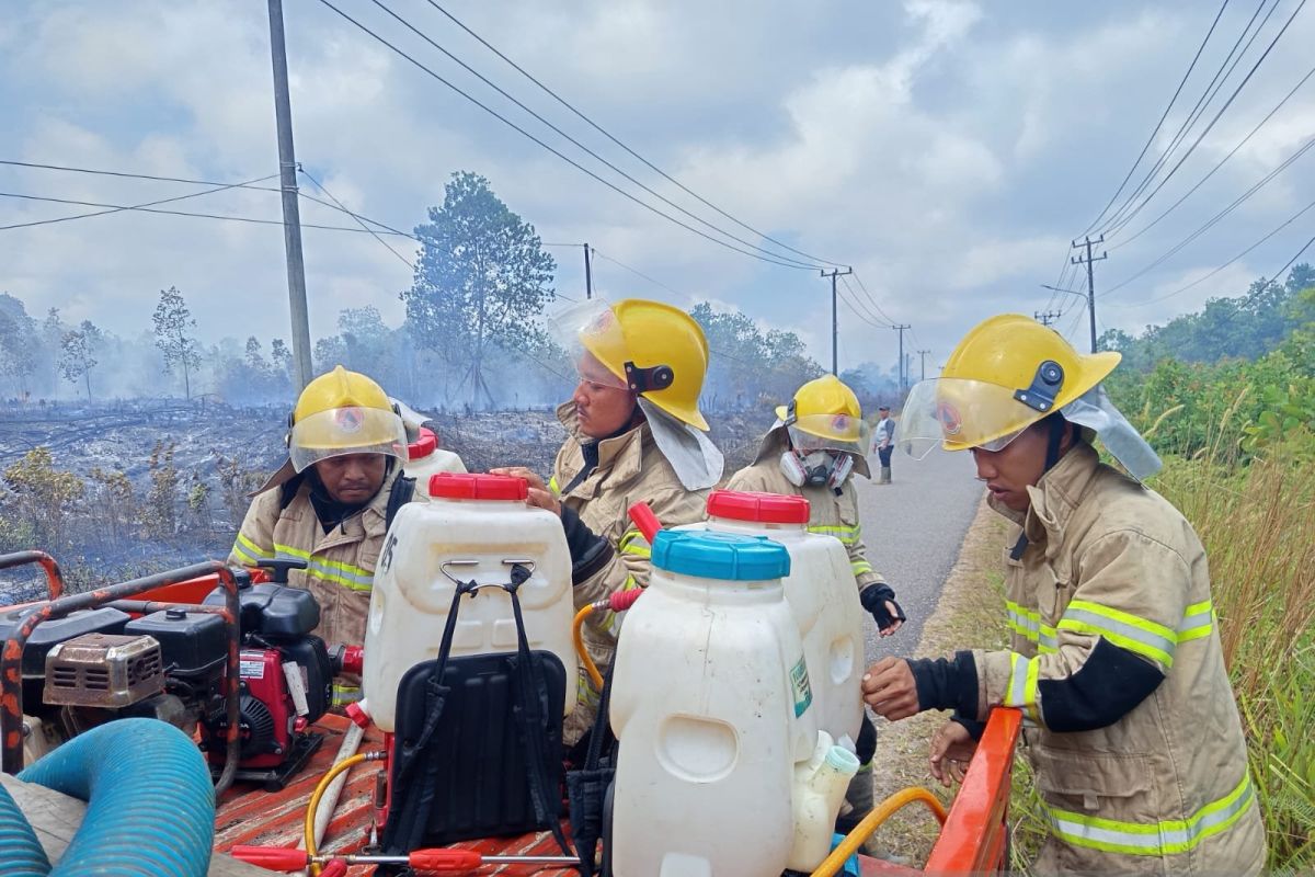 BNPB Turunkan Tim Gabungan Padamkan Karhutla di Belitung Timur dan Bangka Barat, Ratusan Hektare Lahan Terdampak
