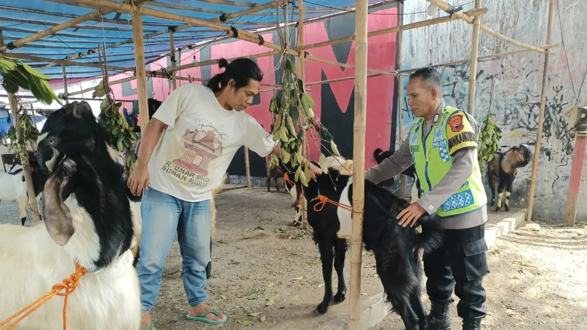Jelang Idul Adha, Pasar Tiban Hewan Kurban Mulai Bermunculan di Tepi Jalan Kaswari Kebumen