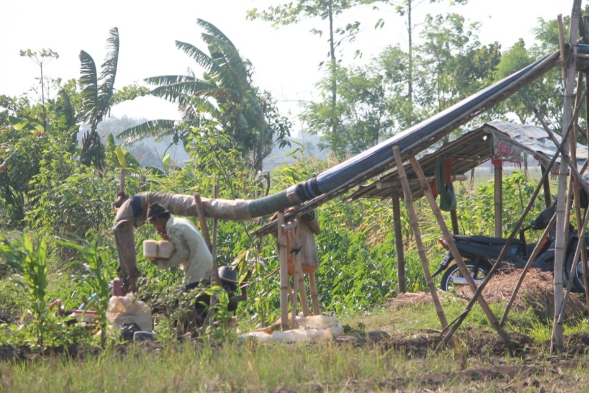 Ribuan Hektare Sawah di Majalengka Terancam Kekeringan, Petani di Ligung Mulai Andalkan Pompanisasi