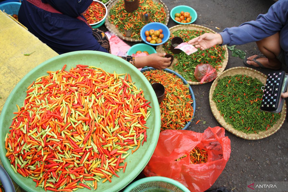 TPID Sulsel Gelar Gerakan Pangan Murah di Tallo, 250 Paket Cabai Rp 17.500 Disiapkan Tekan Harga