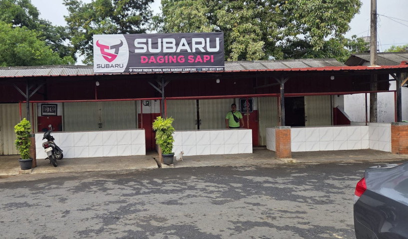 Ratusan Pedagang Daging di Bandar Lampung Mogok Jualan, Harga Sapi Hidup Tembus Rp60 Ribu per Kg