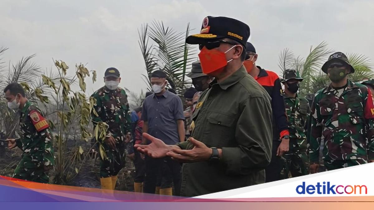 Karhutla Jambi Capai 300 Hektare, Gubernur Al Haris Minta Ulama Gelar Salat Istisqa di Tengah Sulitnya Padamkan Api Gambut