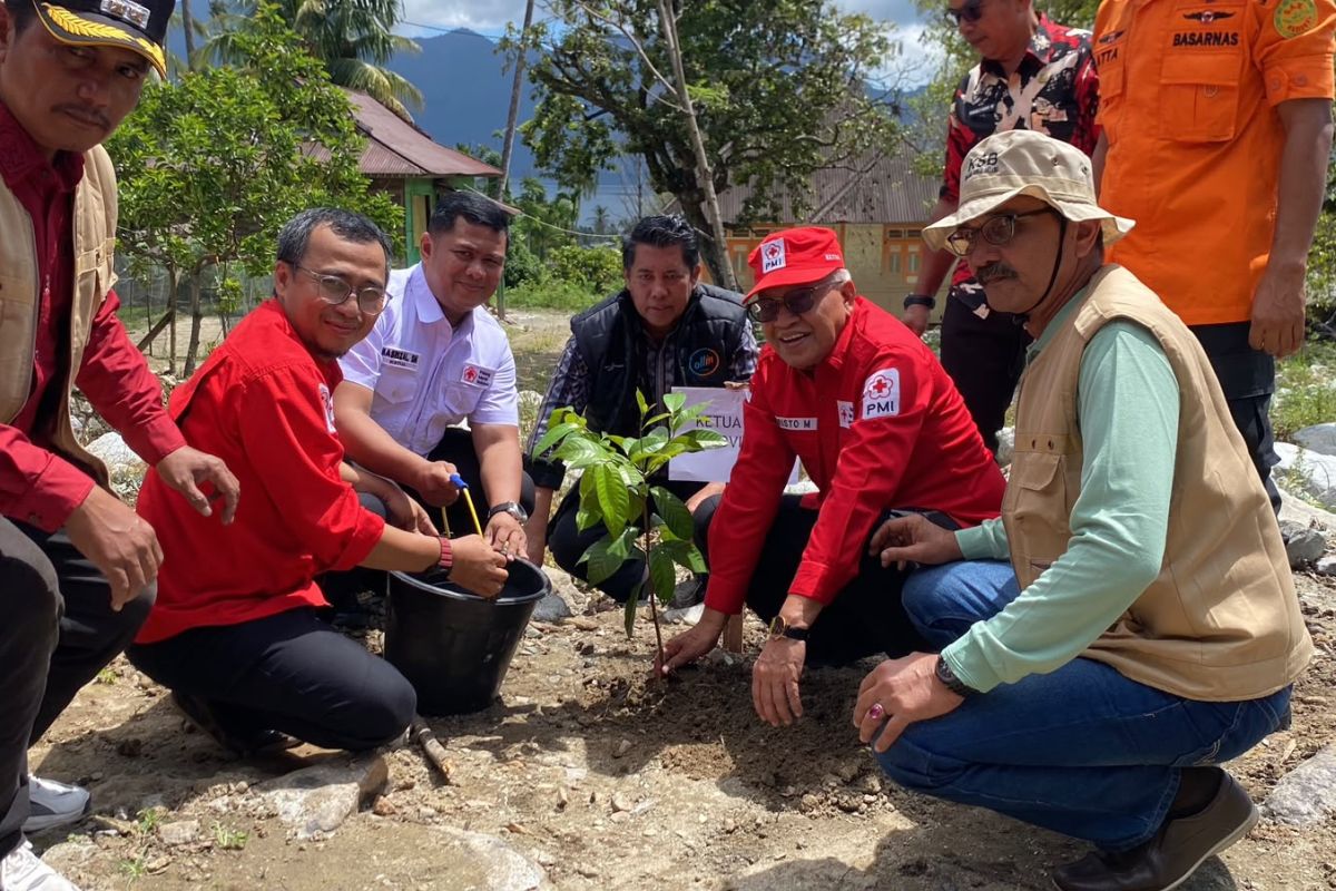 PMI Agam Tanam 600 Bibit Durian hingga Pala di Lokasi Banjir Bandang Nagari Sungai Batang