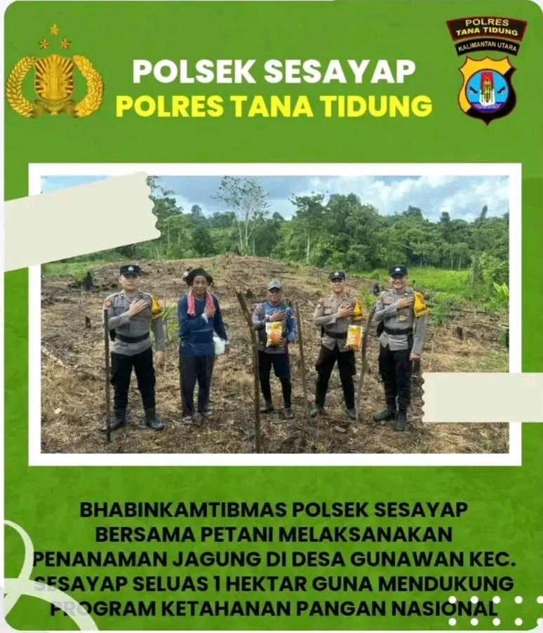 Bhabinkamtibmas Polres Tana Tidung dan Petani Desa Gunawan Tanam 1 Hektar Jagung Dukung Ketahanan Pangan Nasional