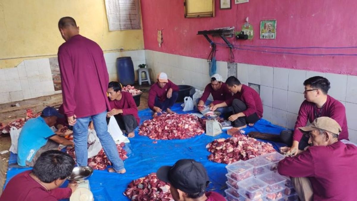 PTP Nonpetikemas Bengkulu Salurkan 27 Ekor Hewan Kurban untuk Masyarakat Sekitar Pelabuhan Pulau Baai