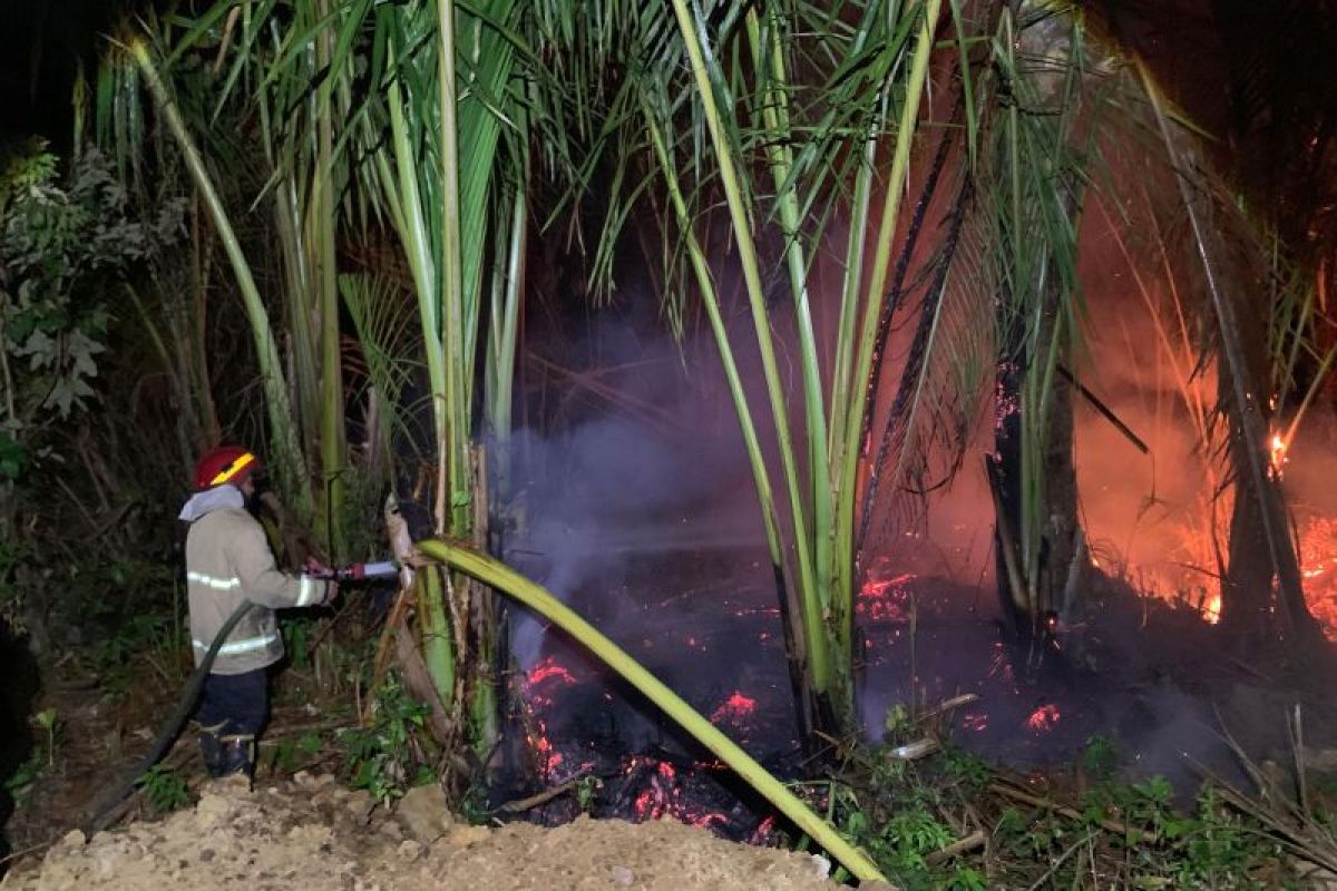 BPBD Aceh Besar Catat 47 Karhutla Sepanjang Agustus, Perangkat Gampong Dilibatkan untuk Cegah Kebakaran Lahan
