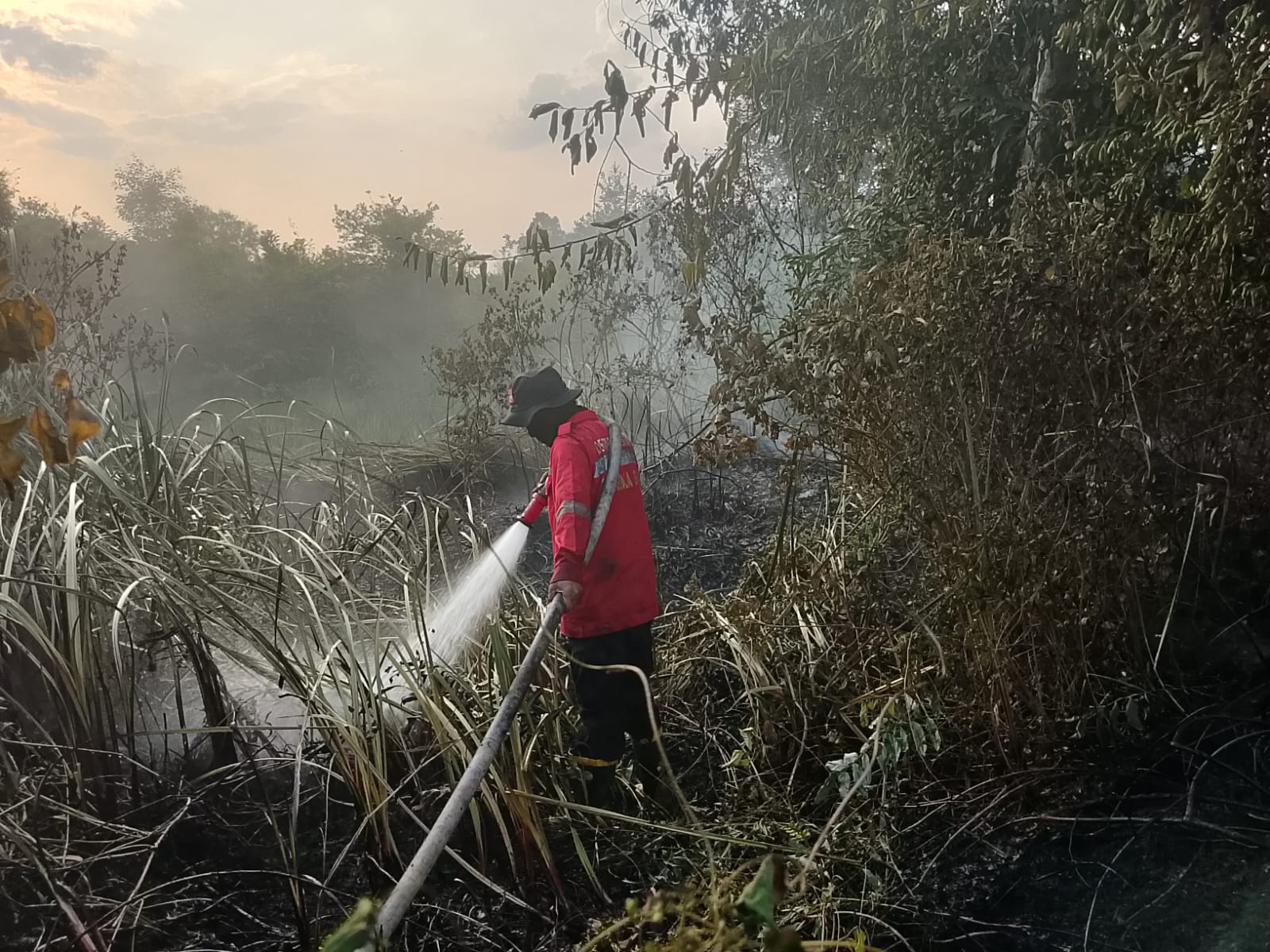 12 Titik Karhutla di Sumsel Masih Membara, OKI dan Muara Enim Belum Sepenuhnya Padam