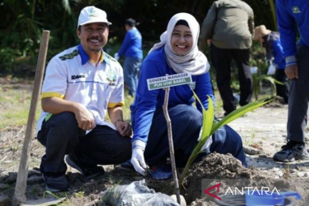 PLN Babel Ajak Warga Tanam 4.000 Bibit Pohon di Pantai Temberan, Pulihkan Ekosistem Pesisir Kritis