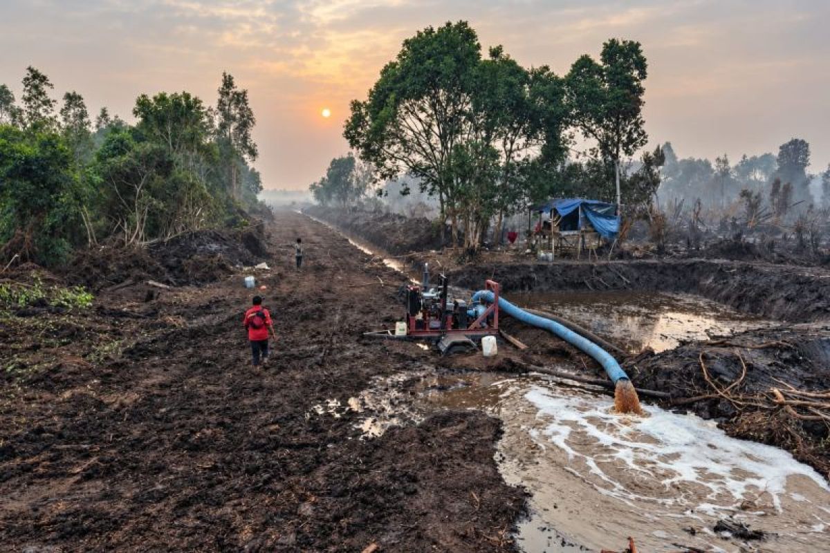 PT RHM Basahi Lahan Gambut Musi Banyuasin Lewat Sistem Injeksi Air, Cegah Karhutla di Musim Kemarau