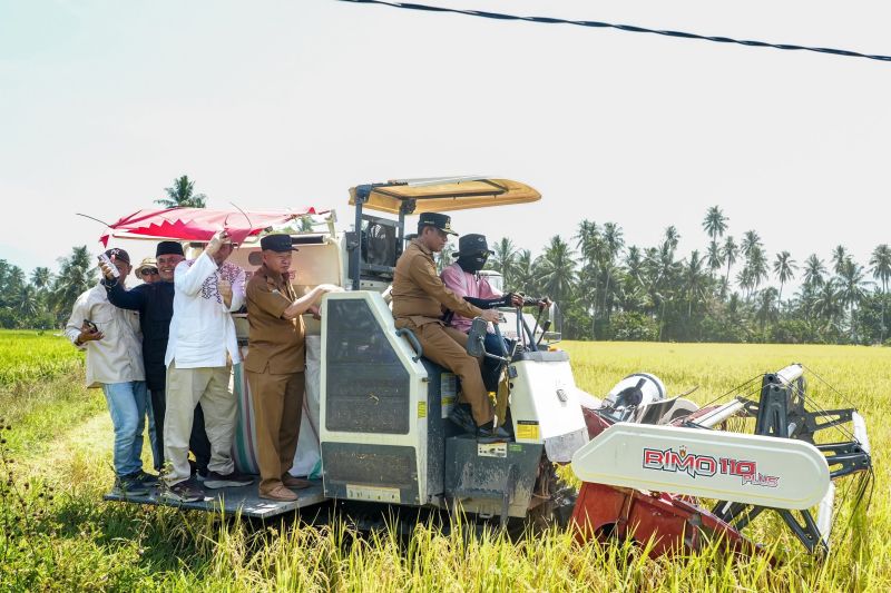 Pemprov Sulteng Pakai Drone dan Mesin Panen Modern, Target Produksi Padi 6 Ton per Hektare